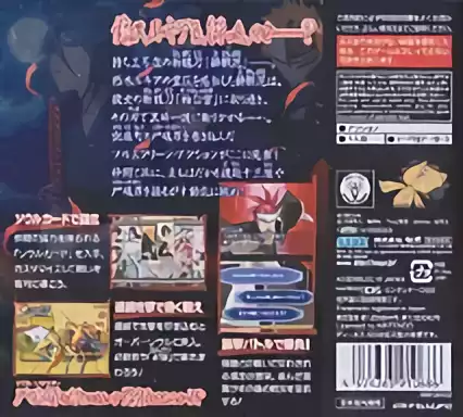 Image n° 2 - boxback : Bleach DS 4th - Flame Bringer